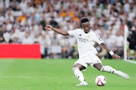 他个人的坚 他个人的坚