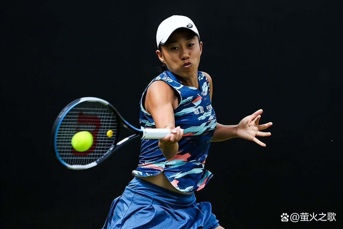 术多样性 术多样性