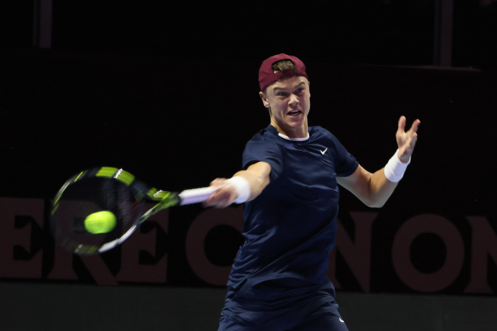 险性的得分 险性的得分